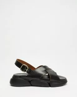 ATP Atelier Barisci Black