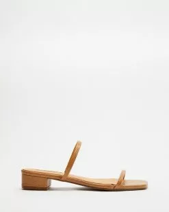 Billini Catia Desert Lizard