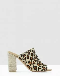 Kennedy States Multi