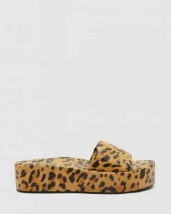 LMS The Britney Leopard