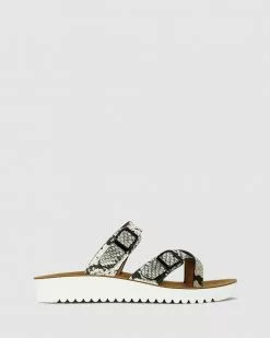 Los Cabos Nin Black Snake