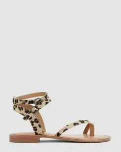 Los Cabos Amante Leopard