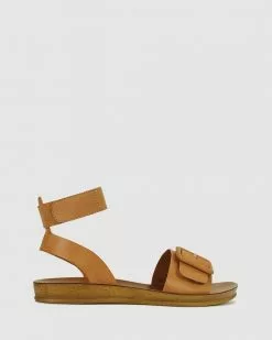 Los Cabos Dotila Tan