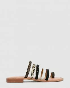 Los Cabos Amin Multi