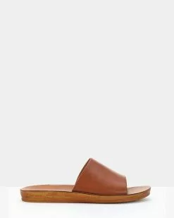 Los Cabos Kes Brandy