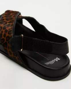 Mollini Harri Leopard & Black -Sandals Sales Shop http3A2F2Fstatic.theiconic.com .au2Fp2Fmollini 6453 6465821 5