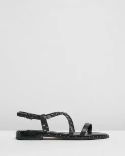 Siren Bilby Black Calf